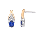 Tanzanite 1.22 ct tw earrings with 0.18 ct tw Diamonds & 14kt Gold